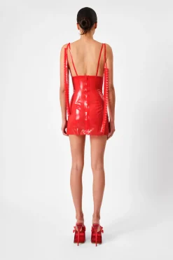 The Annamaria Latex Dress Sheer Rouge<Poster Girl Clearance